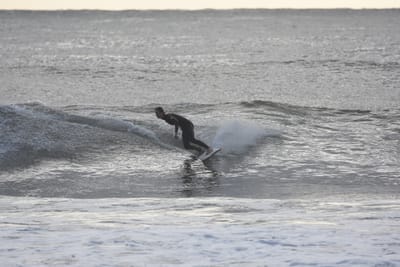 DSC_0114.JPG