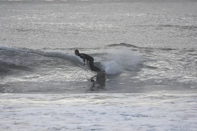 DSC_0115.JPG