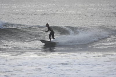 DSC_0118.JPG