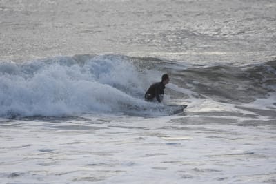 DSC_0121.JPG