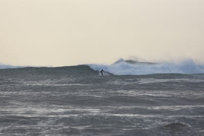DSC_0138.JPG