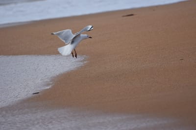 DSC_0146.JPG
