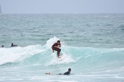 DSC_8736.jpg