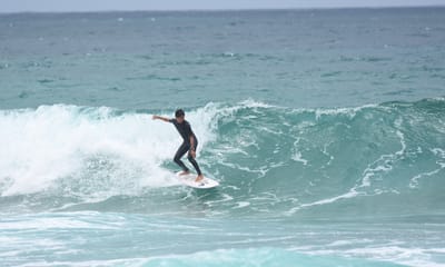 DSC_8783.jpg