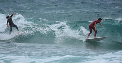 DSC_8966.jpg