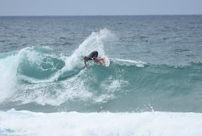 DSC_9084.jpg