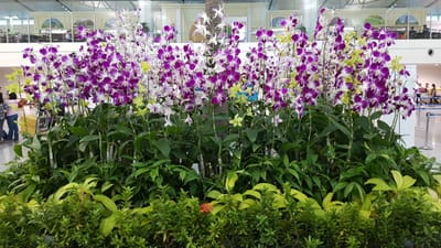 20170424_173624.jpg