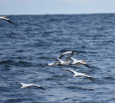 DSC_2507.JPG