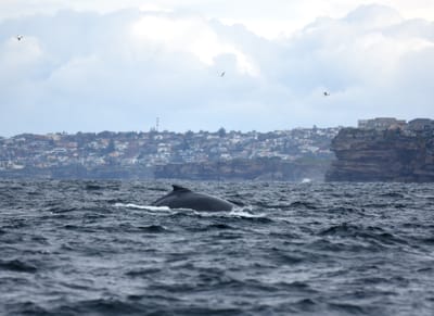 DSC_2543.JPG