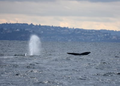 DSC_2559.JPG