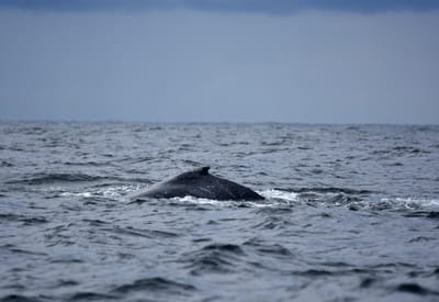 DSC_2656.JPG
