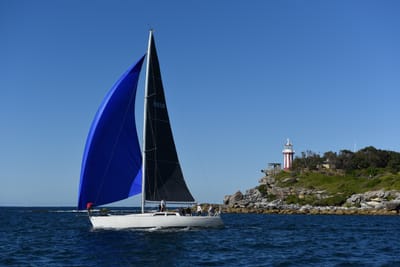 DSC_0550.JPG
