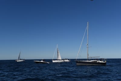 DSC_0551.JPG