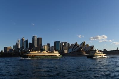 DSC_0553.JPG