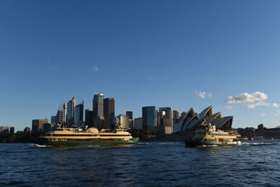 DSC_0554.JPG