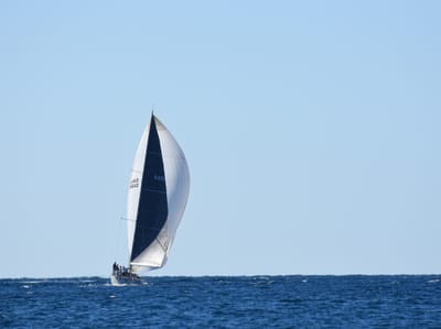 DSC_2951.JPG
