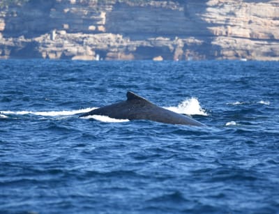DSC_3008.JPG