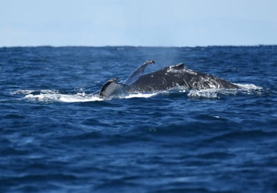 DSC_3027.JPG