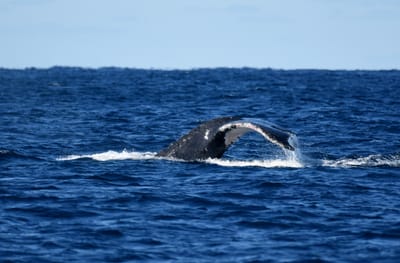 DSC_3097.JPG