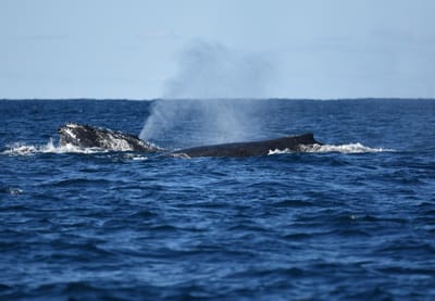 DSC_3145.JPG