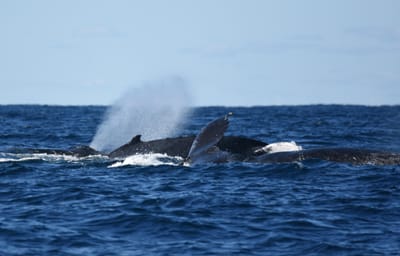 DSC_3154.JPG