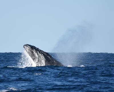DSC_3198.JPG