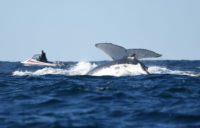 DSC_3223.JPG