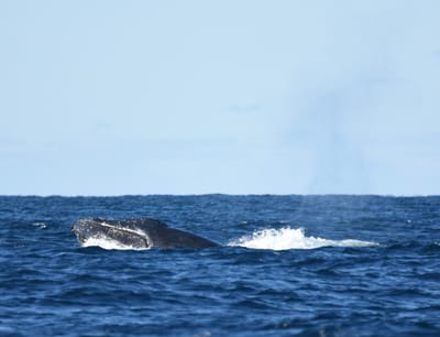 DSC_3277.JPG