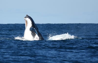 DSC_3286.JPG
