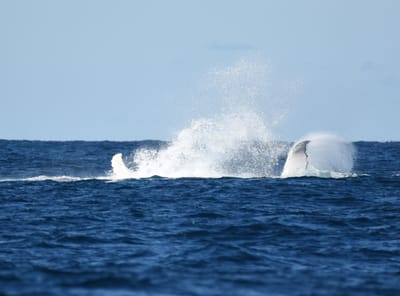 DSC_3304.JPG