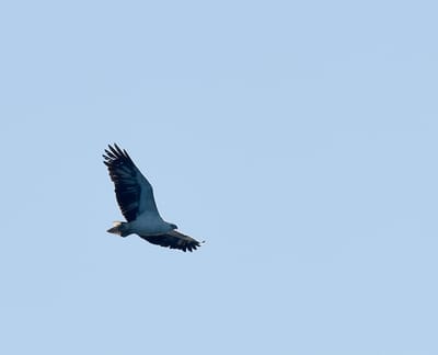 DSC_3316.JPG