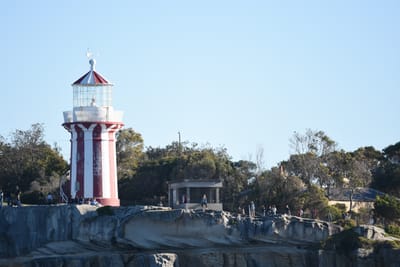 DSC_3339.JPG