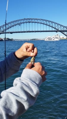 20180520_133257.jpg