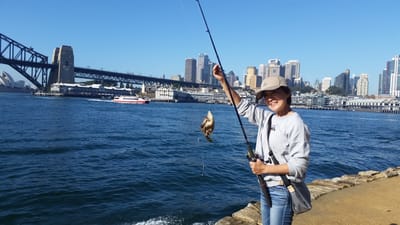20180526_100102.jpg