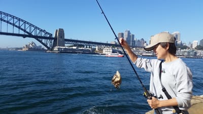 20180526_100106.jpg
