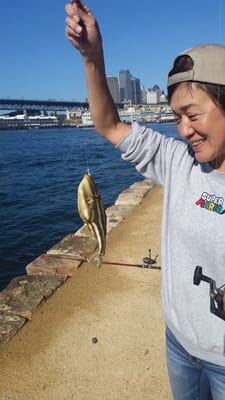 20180526_114947.jpg