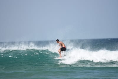 DSC_0498.JPG