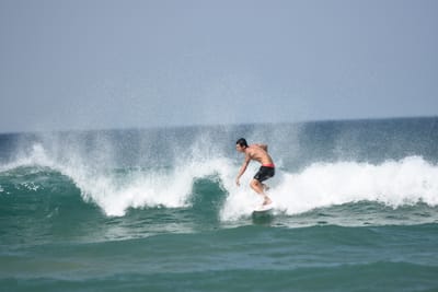 DSC_0500.JPG