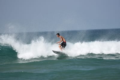 DSC_0501.JPG