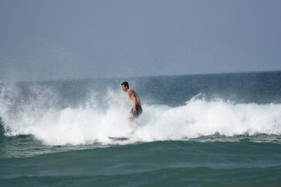 DSC_0502.JPG