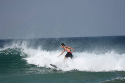 DSC_0503.JPG