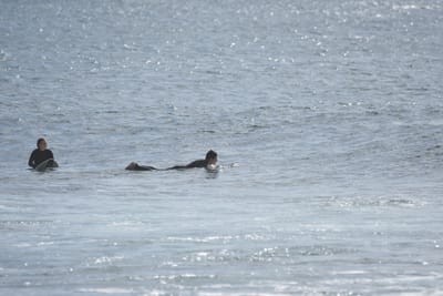 DSC_0764.JPG