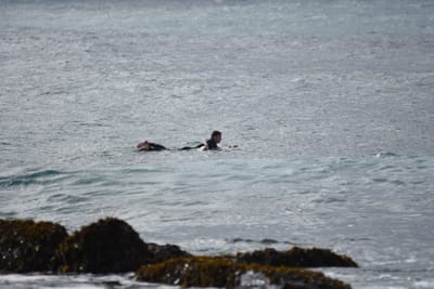 DSC_0808.JPG