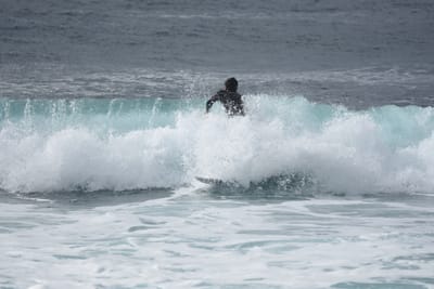 DSC_0817.JPG