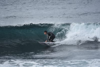 DSC_0824.JPG