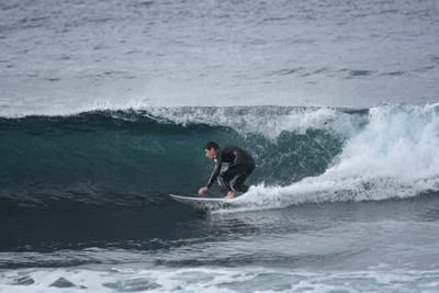 DSC_0825.JPG
