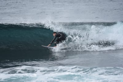 DSC_0826.JPG