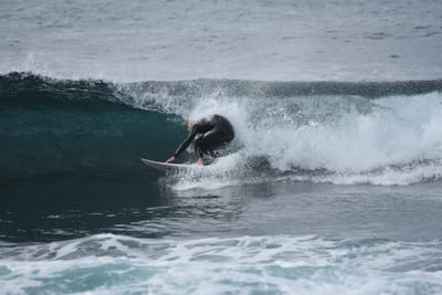 DSC_0827.JPG