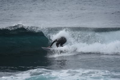 DSC_0828.JPG
