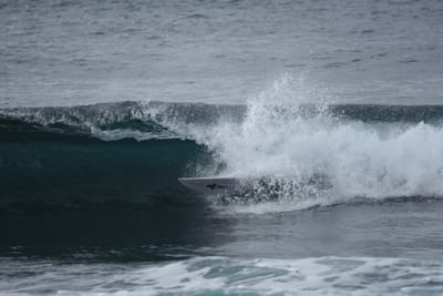 DSC_0829.JPG